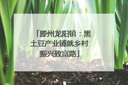 滕州龙阳镇：黑土豆产业铺就乡村振兴致富路