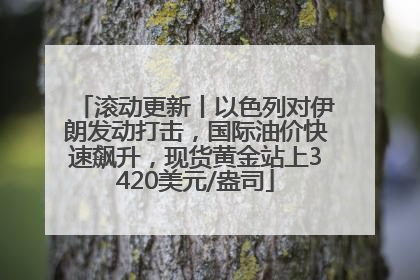 滚动更新丨以色列对伊朗发动打击，国际油价快速飙升，现货黄金站上3420美元/盎司