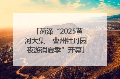 菏泽“2025黄河大集—曹州牡丹园夜游消夏季”开幕