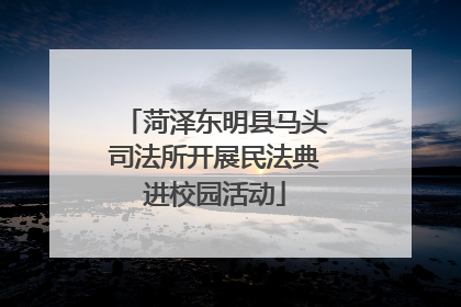 菏泽东明县马头司法所开展民法典进校园活动