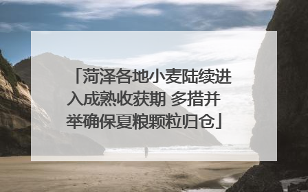 菏泽各地小麦陆续进入成熟收获期 多措并举确保夏粮颗粒归仓