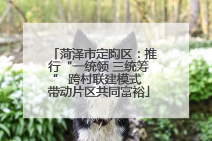 菏泽市定陶区：推行“一统领 三统筹” 跨村联建模式 带动片区共同富裕