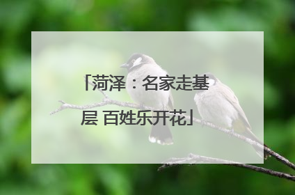 菏泽：名家走基层 百姓乐开花