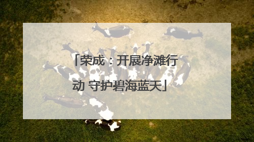 荣成：开展净滩行动 守护碧海蓝天
