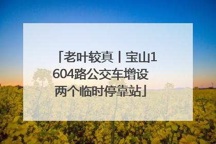 老叶较真丨宝山1604路公交车增设两个临时停靠站