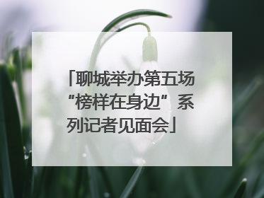 聊城举办第五场“榜样在身边”系列记者见面会