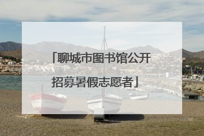 聊城市图书馆公开招募暑假志愿者