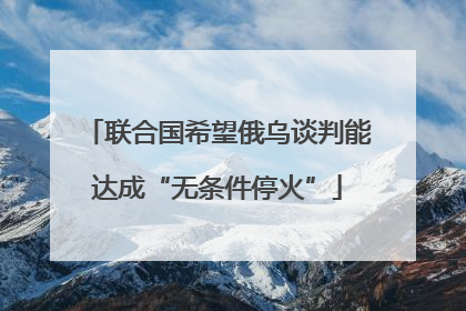 联合国希望俄乌谈判能达成“无条件停火”