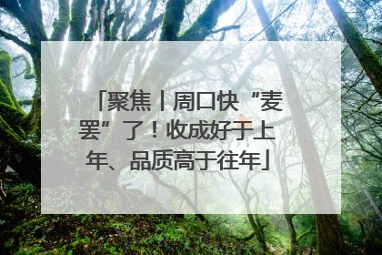 聚焦丨周口快“麦罢”了！收成好于上年、品质高于往年