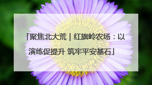 聚焦北大荒｜红旗岭农场：以演练促提升 筑牢平安基石