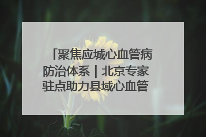 聚焦应城心血管病防治体系｜北京专家驻点助力县域心血管诊疗技术突破