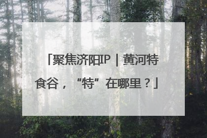 聚焦济阳IP｜黄河特食谷，“特”在哪里？