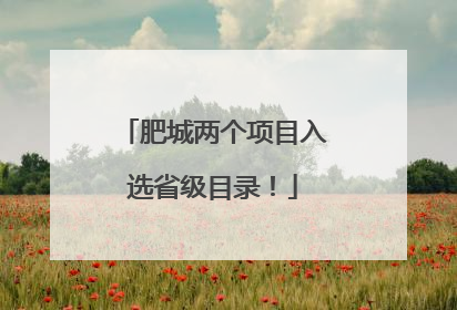 肥城两个项目入选省级目录！