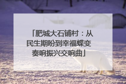 肥城大石铺村：从民生期盼到幸福蝶变奏响振兴交响曲