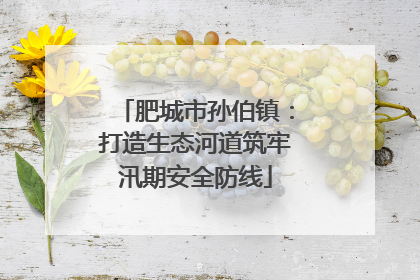 肥城市孙伯镇：打造生态河道筑牢汛期安全防线