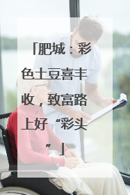 肥城：彩色土豆喜丰收，致富路上好“彩头”