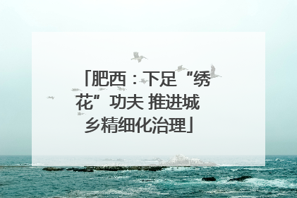 肥西：下足“绣花”功夫 推进城乡精细化治理