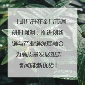胡昌升在金昌市调研时强调：推进创新链与产业链深度融合 为高质量发展塑造新动能新优势
