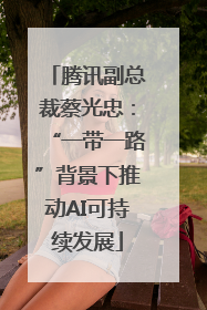 腾讯副总裁蔡光忠：“一带一路”背景下推动AI可持续发展