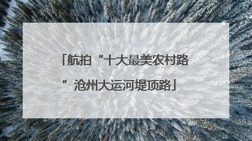 航拍“十大最美农村路”沧州大运河堤顶路