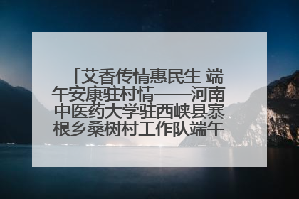 艾香传情惠民生 端午安康驻村情——河南中医药大学驻西峡县寨根乡桑树村工作队端午中医惠民记