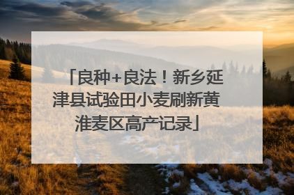良种+良法！新乡延津县试验田小麦刷新黄淮麦区高产记录