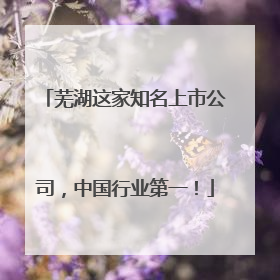 芜湖这家知名上市公司，中国行业第一！
