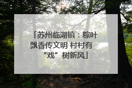 苏州临湖镇：粽叶飘香传文明 村村有“戏”树新风