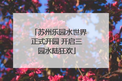 苏州乐园水世界正式开园 开启三园水陆狂欢