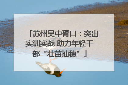 苏州吴中胥口：突出实训实战 助力年轻干部“壮苗抽穗”