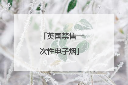 英国禁售一次性电子烟