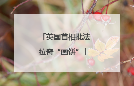 英国首相批法拉奇“画饼”