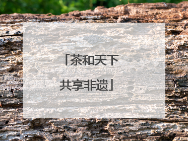 茶和天下 共享非遗