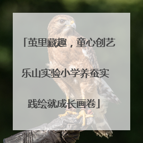茧里藏趣，童心创艺 乐山实验小学养蚕实践绘就成长画卷