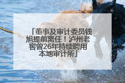 董事及审计委员钱旭提前离任！泸州老窖曾26年持续聘用本地审计所