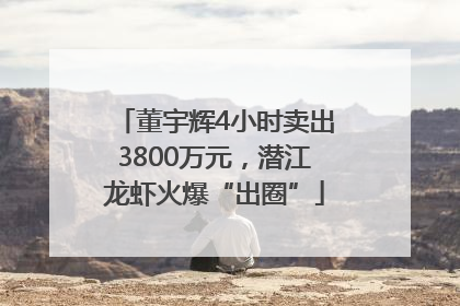 董宇辉4小时卖出3800万元，潜江龙虾火爆“出圈”