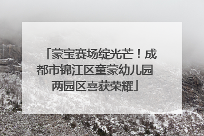 蒙宝赛场绽光芒！成都市锦江区童蒙幼儿园两园区喜获荣耀