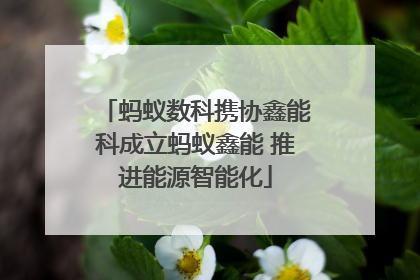 蚂蚁数科携协鑫能科成立蚂蚁鑫能 推进能源智能化
