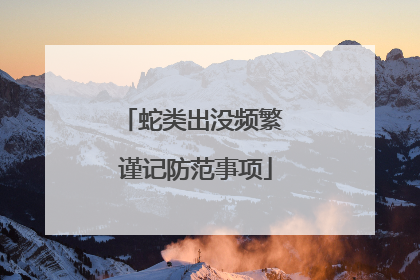 蛇类出没频繁 谨记防范事项