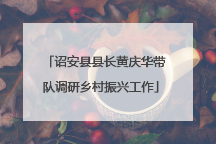 诏安县县长黄庆华带队调研乡村振兴工作