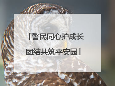 警民同心护成长 团结共筑平安园
