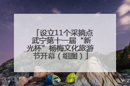 设立11个采摘点 武宁第十一届“新光杯”杨梅文化旅游节开幕（组图）