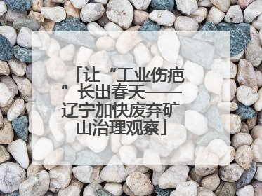 让“工业伤疤”长出春天——辽宁加快废弃矿山治理观察