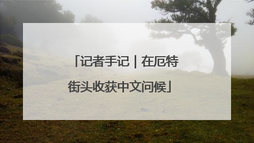 记者手记｜在厄特街头收获中文问候