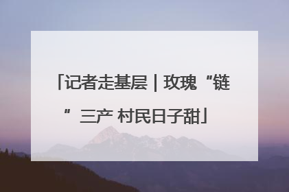 记者走基层｜玫瑰“链”三产 村民日子甜