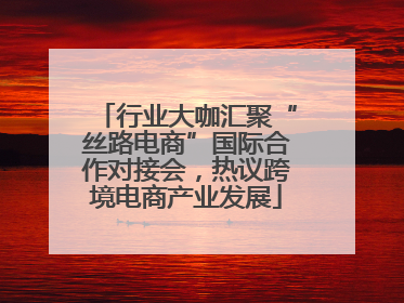 行业大咖汇聚“丝路电商”国际合作对接会，热议跨境电商产业发展