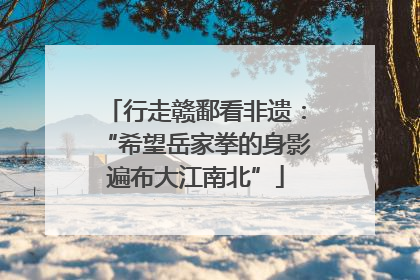 行走赣鄱看非遗：“希望岳家拳的身影遍布大江南北”