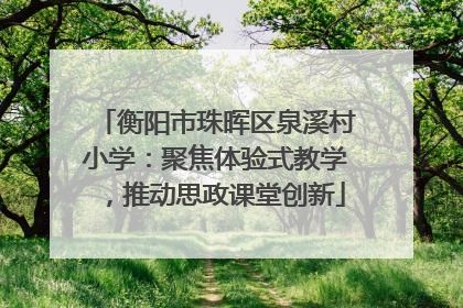 衡阳市珠晖区泉溪村小学：聚焦体验式教学，推动思政课堂创新
