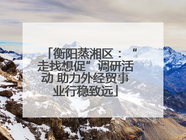 衡阳蒸湘区：“走找想促”调研活动 助力外经贸事业行稳致远