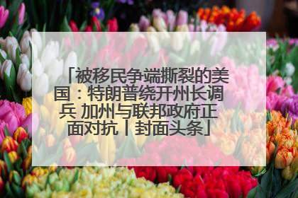 被移民争端撕裂的美国：特朗普绕开州长调兵 加州与联邦政府正面对抗丨封面头条